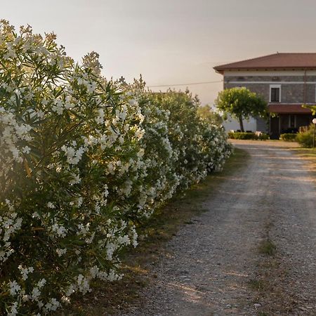 Agri Charme Tenuta Picilli Villa Albanella ภายนอก รูปภาพ